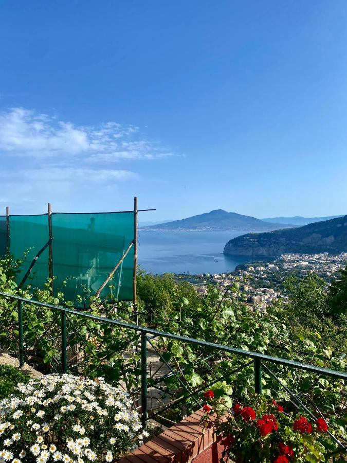 Villa Monica B&B Sorrento Exterior foto